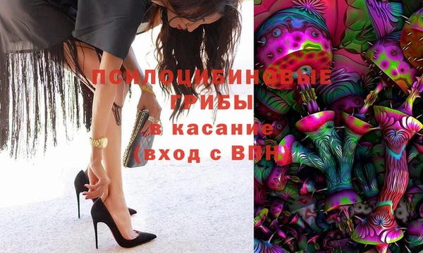 ГАЛЛЮЦИНОГЕННЫЕ ГРИБЫ Богородск