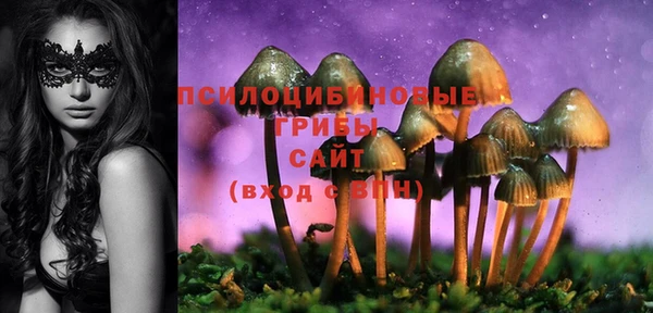 Альфа ПВП Богданович